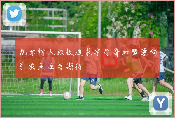凯尔特人积极追求字母哥加盟意向引发关注与期待