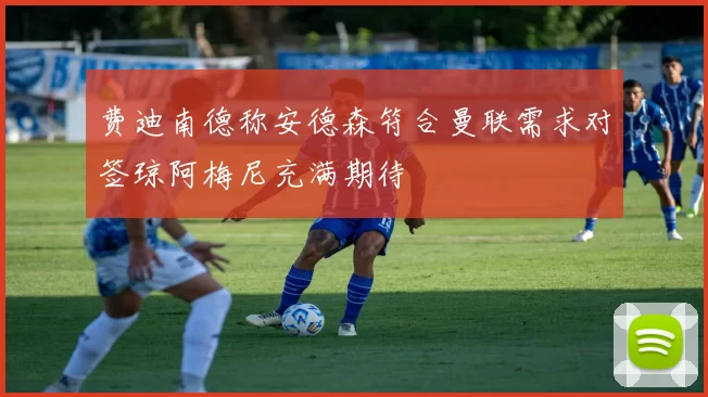 费迪南德称安德森符合曼联需求对签琼阿梅尼充满期待